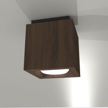 rendering showing flushmount box light in walnut with black ceiling canopy